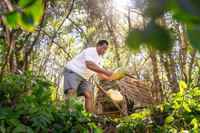 Big Island 2-Hour ATV Tour and Polynesian Villages Experience  - Big Island of Hawaii - Tour Specifics