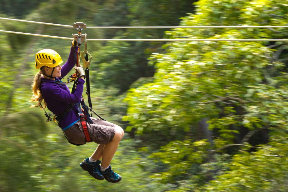 Big Island: 3-Hour Kohala Canopy Zipline Adventure - Experience Highlights