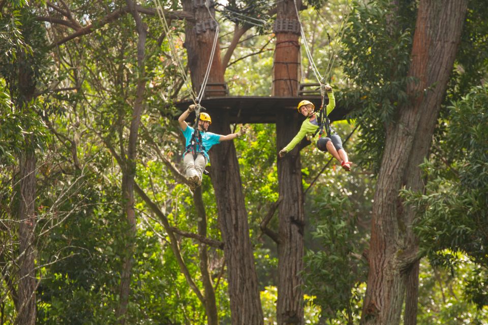 Big Island: Full-Day Kohala Zipline and Waterfall Adventure - Safety Standards