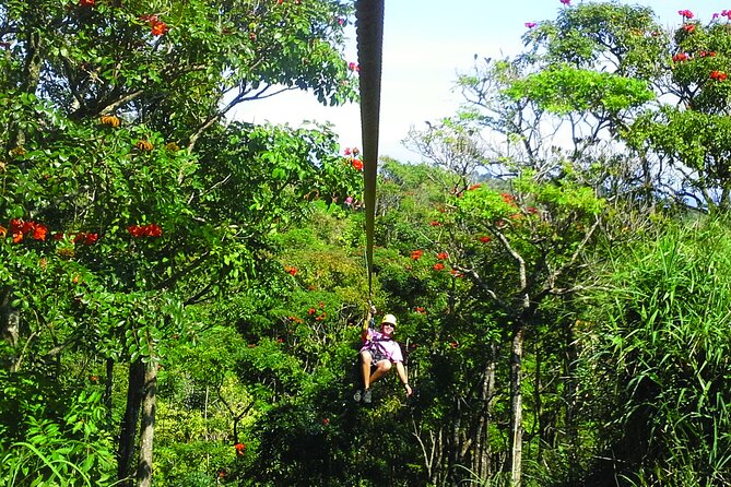 Big Island Zipline Adventure - Meeting and Pickup Details