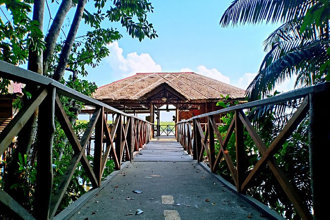 Bintan Mangrove Discovery Tour - Inclusions