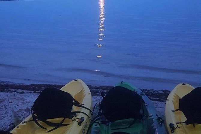 Bioluminescence Night Kayaking Tour of Merritt Island Wildlife Refuge - Logistics