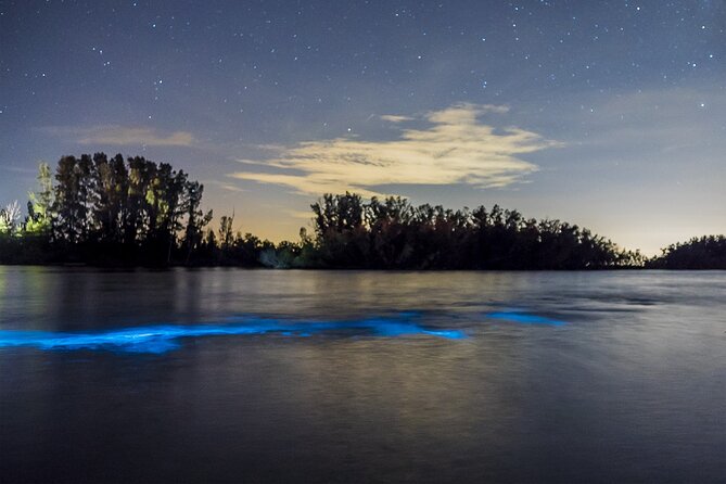 Bioluminescent Clear Kayak Tours in Titusville - Inclusions and Fees