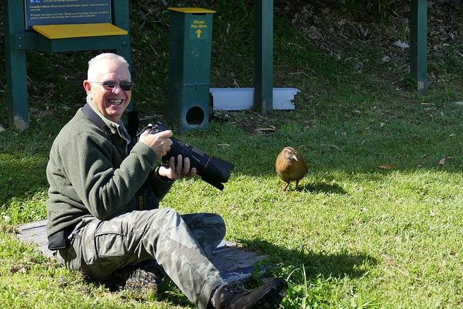 Bird Watching and Dolphin Eco-Tour From Picton - Wildlife-Spotting Expertise