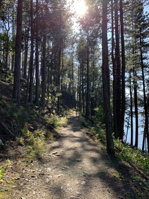 Black Hills: Private Tour of Mt. Rushmore & Flume Trail Hike - Booking Details