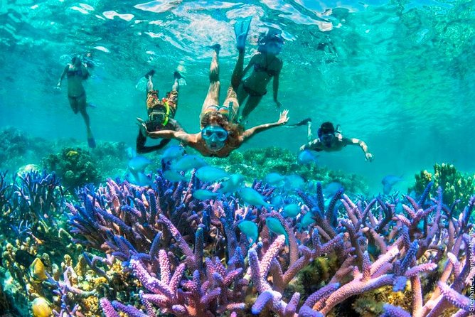 Bloo Lagoon Snorkeling East Bali Includes Transportation & Lunch - Traveler Resources