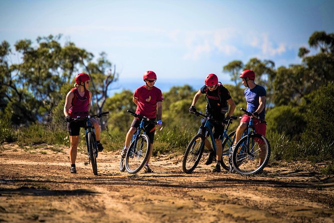 Blue Labyrinth PRIVATE Tour: Sydney Blue Mountains by E-Bike - E-Bike Experience