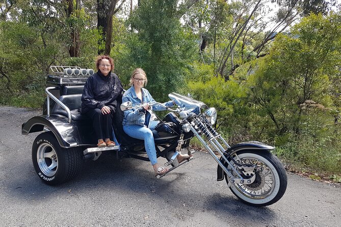Blue Mountains 1-Hour Trike Tour of Three Sisters - Inclusions and Logistics