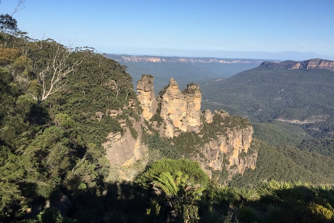 Blue Mountains Private Tour From Sydney, & Featherdale Aussie Animal Park Option - Customer Reviews and Feedback
