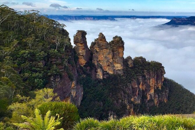 Blue Mountains Private Tour From Sydney - Inclusions and Amenities