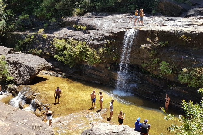 Blue Mountains Unique Small-Group Day Adventure With Picnic Lunch - Additional Information