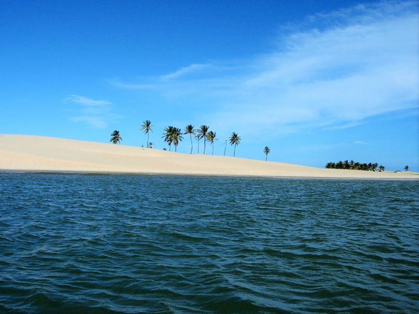 Boat Ride: São Francisco River, the Largest in Brazil - Experience Highlights