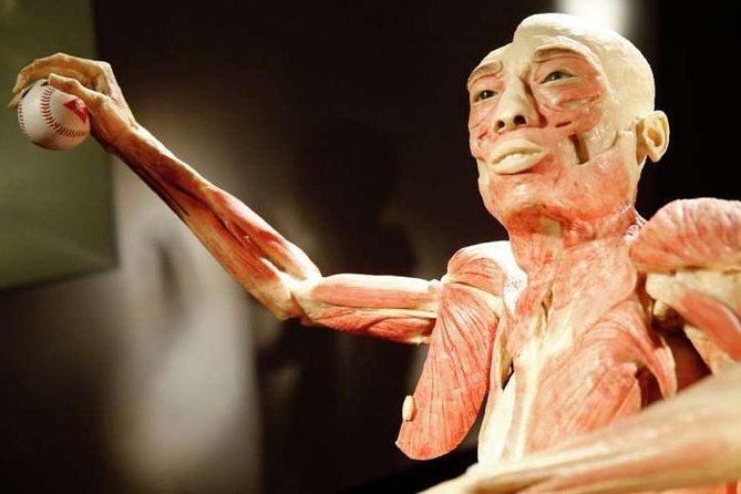 Bodies The Exhibition at the Luxor Hotel and Casino - Ticket Pricing