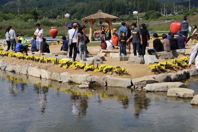 Bongpyeong Buckwheat Flower FestivalPyeongchang Zinnia Festival - Experience Highlights