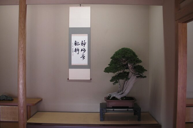 Bonsai and Washi Museum Visit in Tokyo - Bonsai Display Highlights