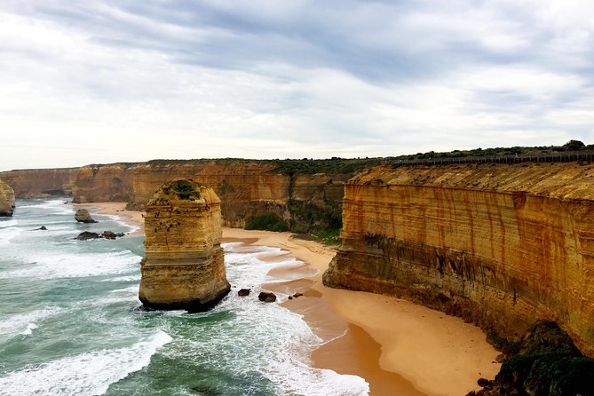 Boutique All-Inclusive Great Ocean Road, 12 Apostles and Rainforest Experience - Traveler Reviews and Experiences