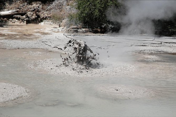 Boutique Tour , Mt Maunganui, NZ Farm, Rotorua Lakes/Geothermal - Company Information and Response