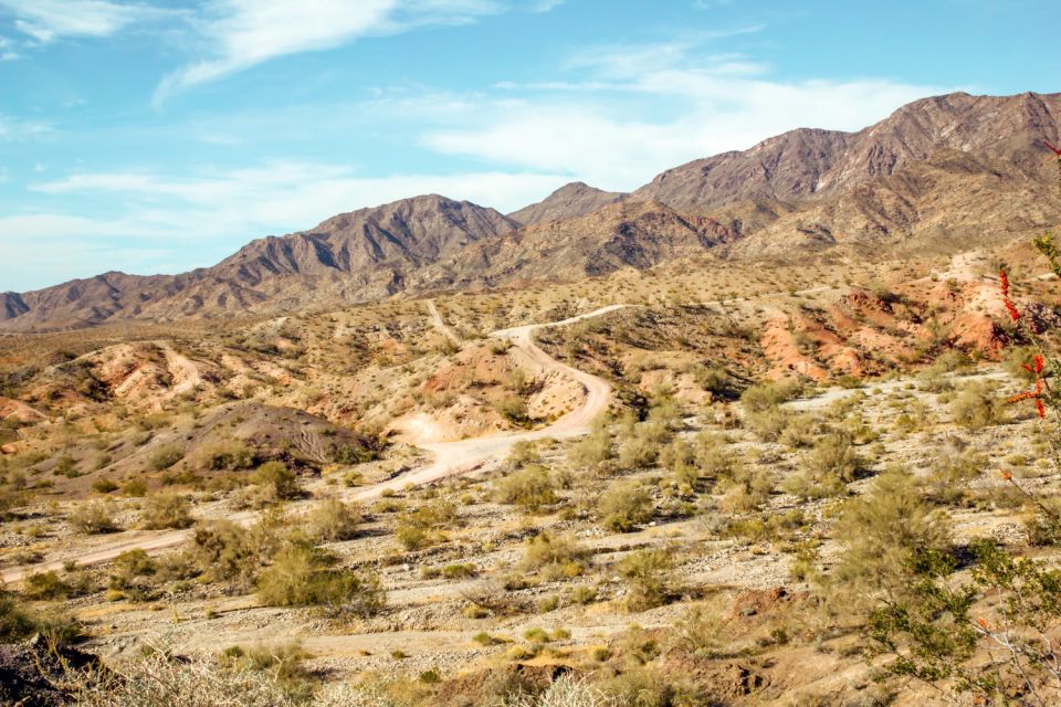 Box Canyon and Pinal Mountains Half-Day ATV Tour - Experience Highlights