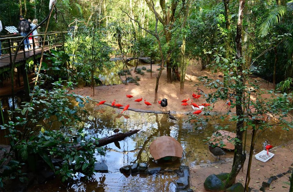 Brazilian Falls, Bird Park and Itaipu Dam - Wildlife and Conservation Focus