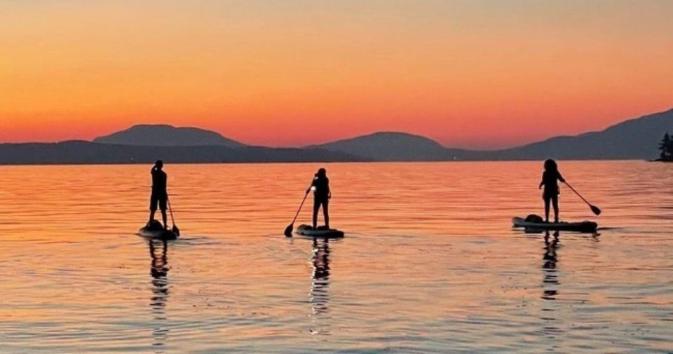 Brentwood Bay: Stand-up Paddleboard Bioluminescence Tour - Tour Highlights