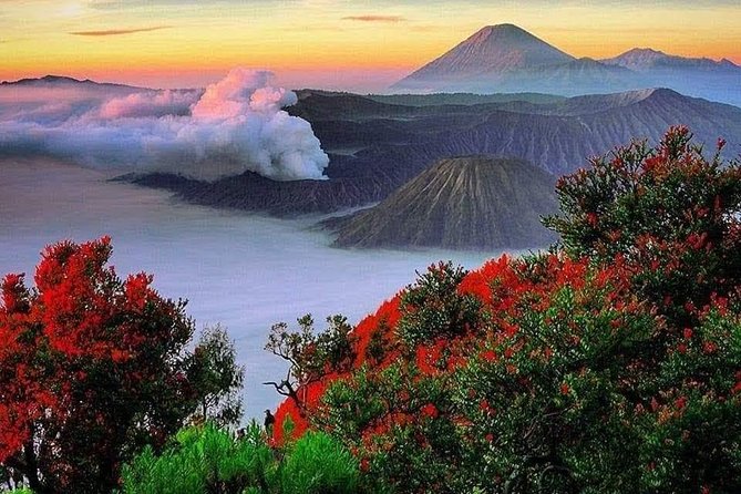 Bromo Ijen Tour From Bali - Review Analysis