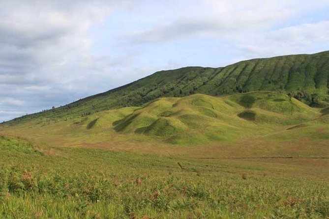 Bromo Panorama Tour to Avoid the Crowds - Start Malang // 1 Day Tour - Traveler Reviews