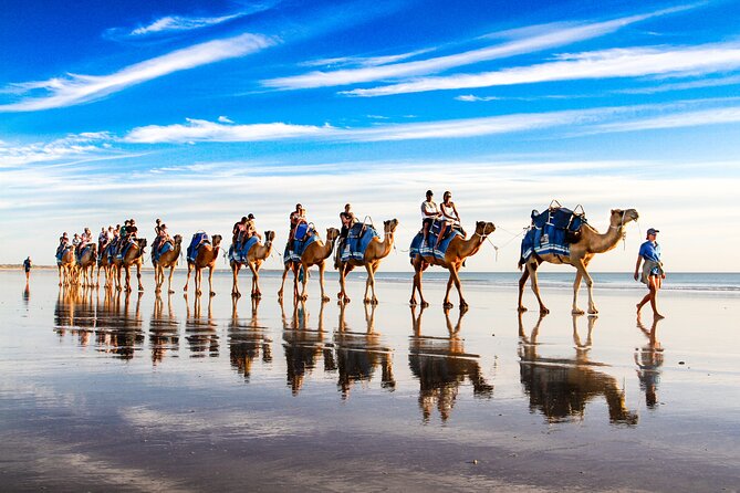 Broome Pre-Sunset Camel Tour 30 Minutes - Inclusions and Freebies