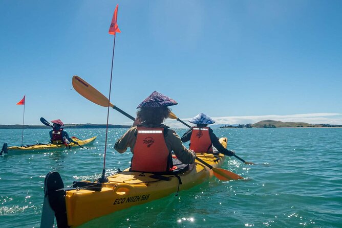 Browns Island Motukorea Sea Kayak Tour - Tour Inclusions