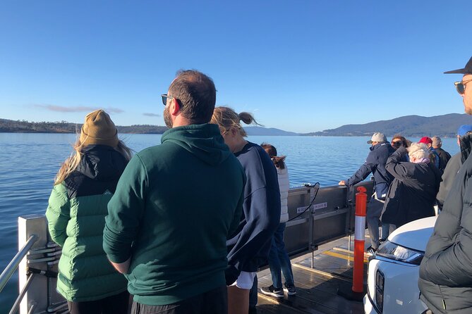 Bruny Island Nature and Tasting Active Day Tour - Traveler Experiences