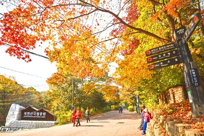 Bukhansan Mountain Hiking Private Tour Including Jjimjilbang & Spa,Korean BBQ - Minimum Traveler Requirement