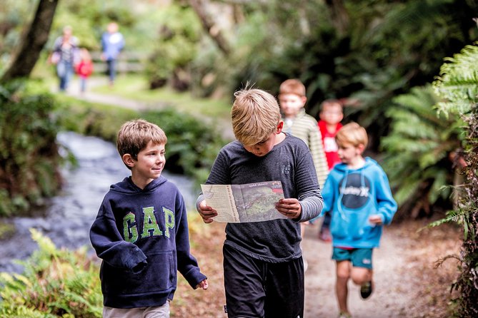 Buried Village of Te Wairoa - Guided Tour Insights