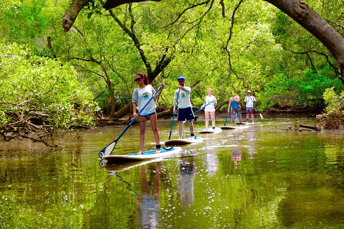 Byron Stand Up Paddle Nature Tour - Group Size and Experience