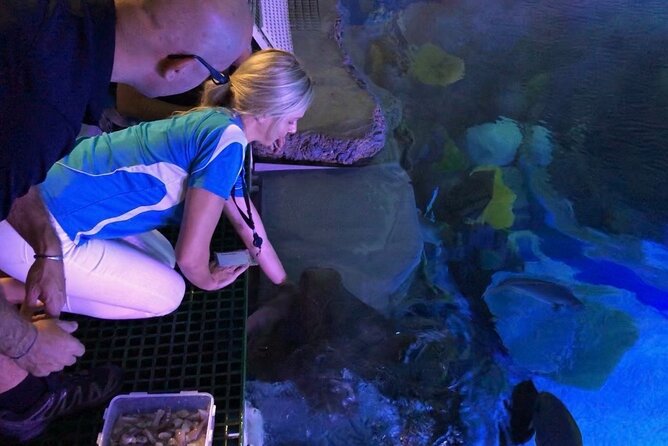 Cairns Aquarium Marine Life Encounter Ticket - Pricing and Terms