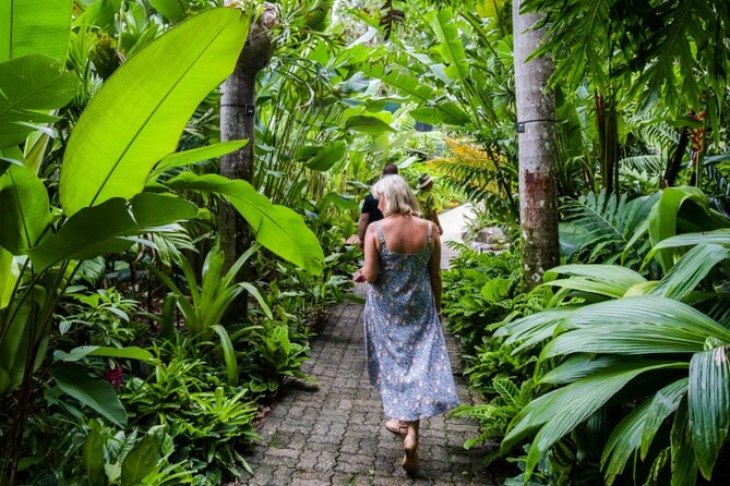 Cairns City Sights and Surrounds Tour - Historical Insights