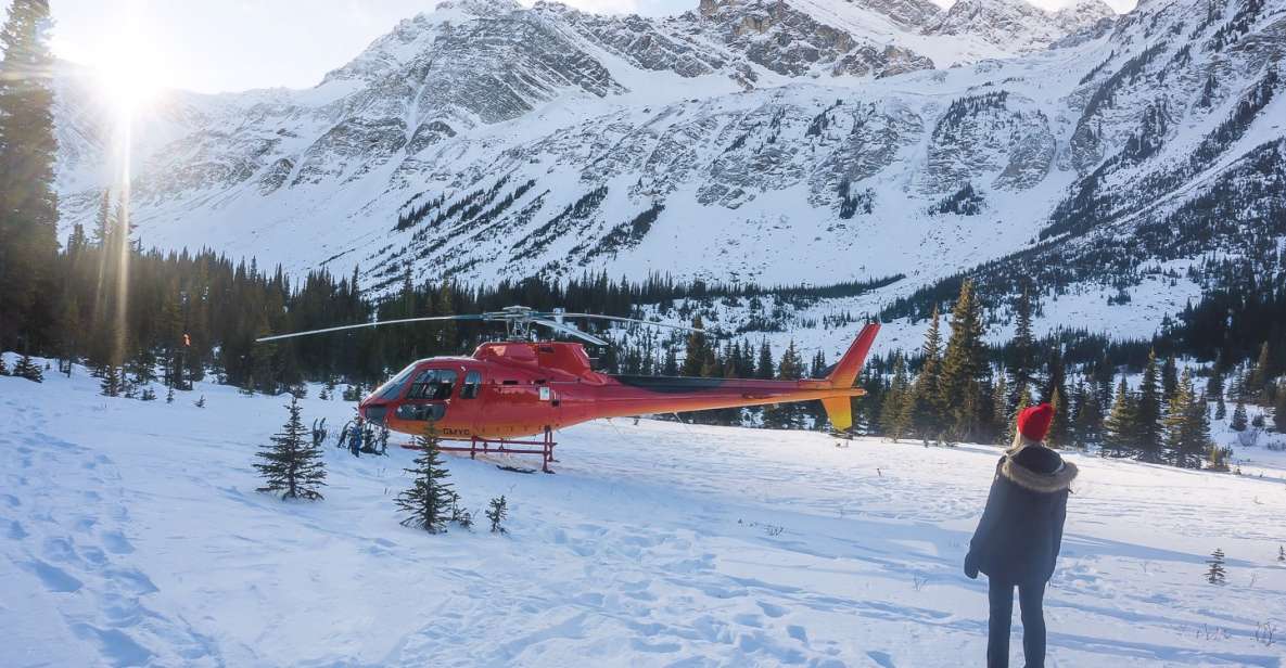 Canadian Rockies: Abraham Lake Ice Bubbles Helicopter Tour - Experience Highlights and Sightseeing