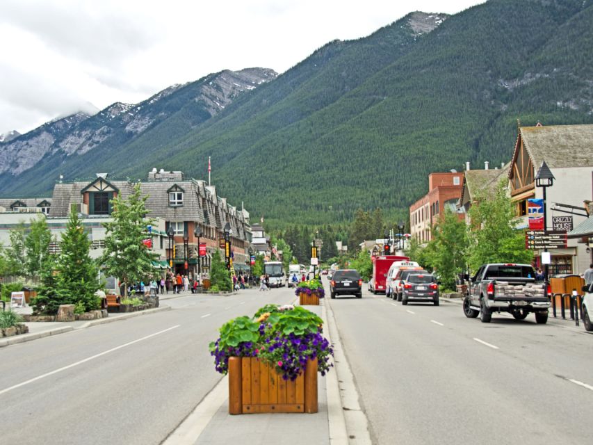 Canadian Rockies Escorted Multi-Day Tour by Private Vehicle - Experience and Guides