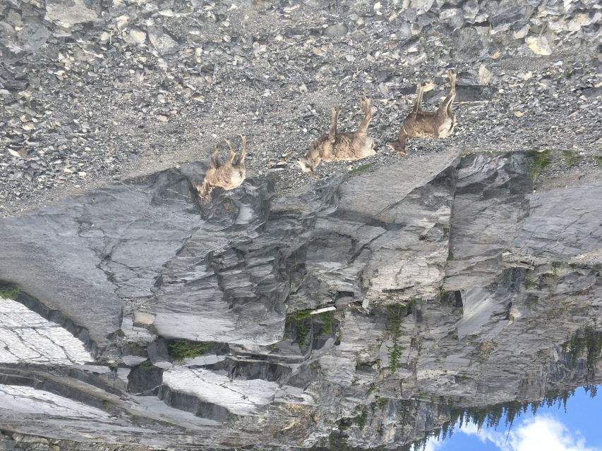 Canmore: Ha Ling Peak & Summit - Experience Highlights