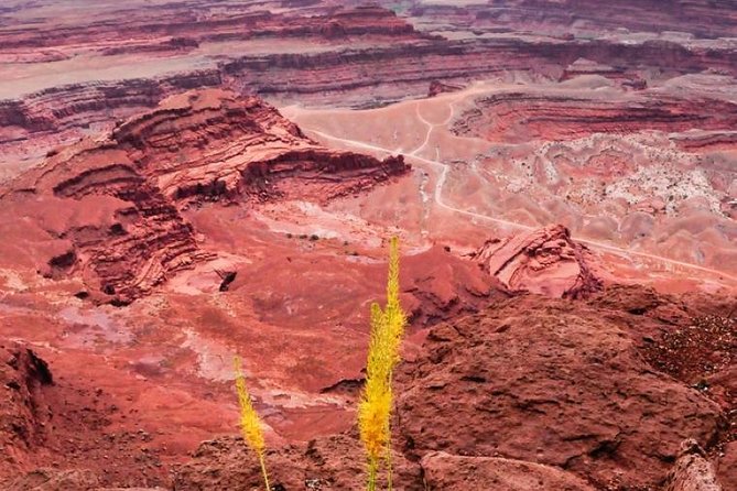 Canyonlands National Park Backcountry 4x4 Adventure From Moab - Remote Areas Visited