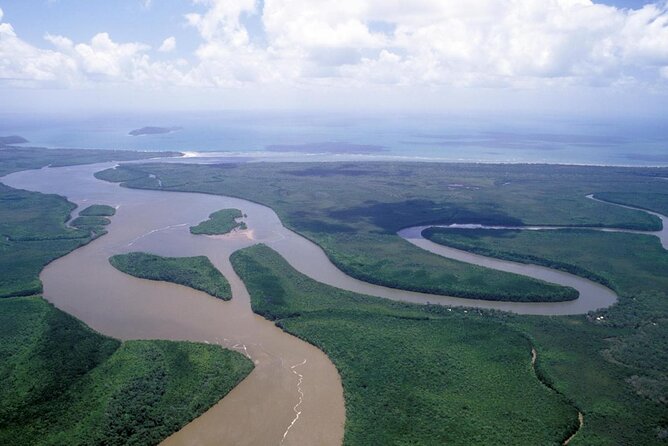 Cape Tribulation Day Tour - Traveler Experience and Photos