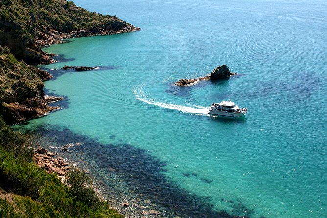 Cape Woolamai Sightseeing Cruise From San Remo - Photo Opportunities