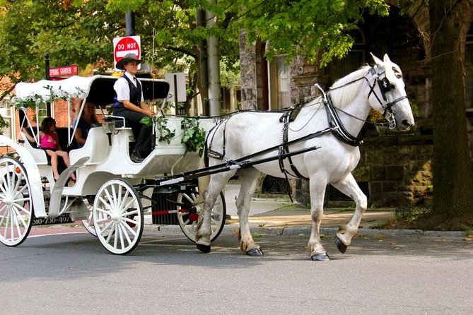 Carriage Ride in Central Park (VIP - PRIVATE) Since 1964 - Experience Inclusions