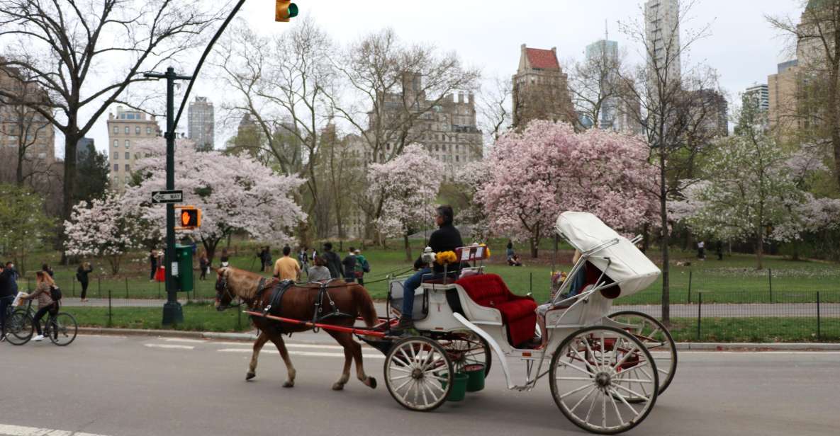 Carriage Ride To/From Tavern on the Green (Up to 4 Adults) - Tour Highlights