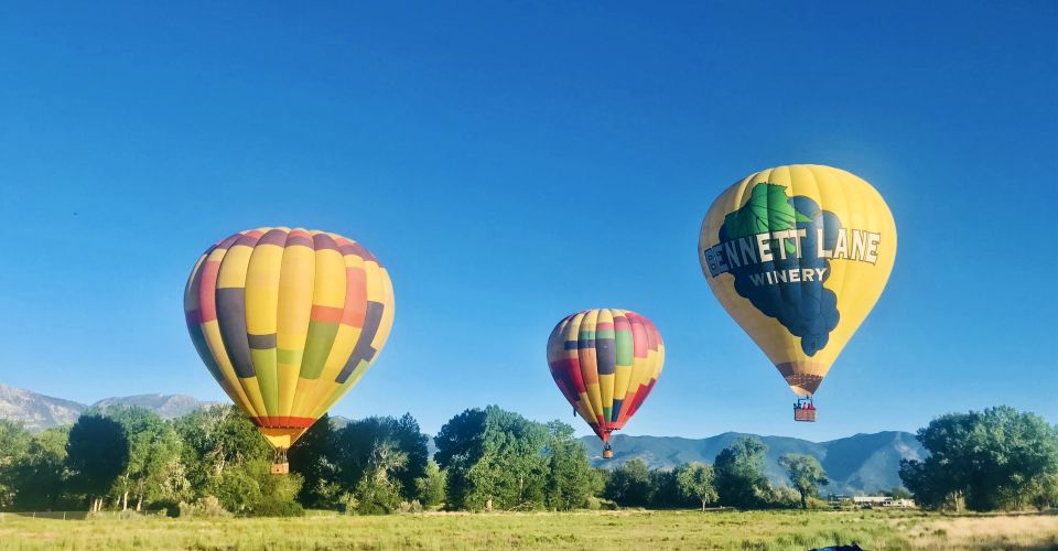 Carson City: Hot Air Balloon Flight - Experience Highlights