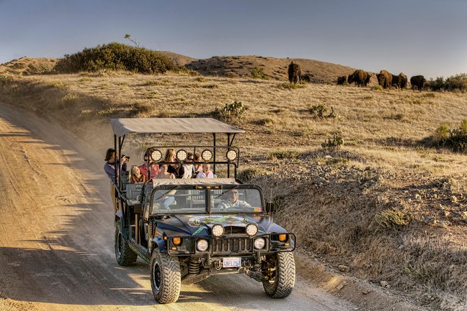 Catalina Island Cape Canyon Off-Road H1 Hummer Tour With Lunch - Wildlife Encounters