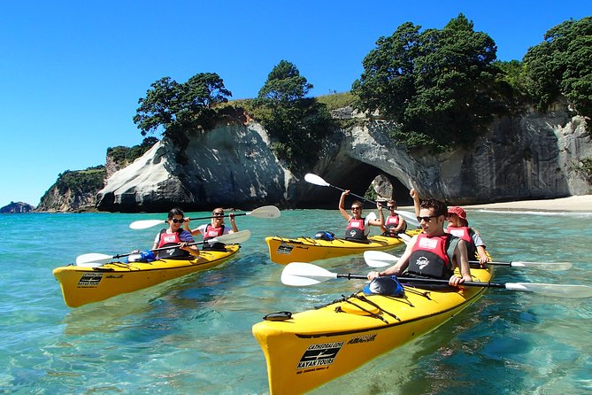 Cathedral Cove Kayak Tour - Logistics and Meeting Point