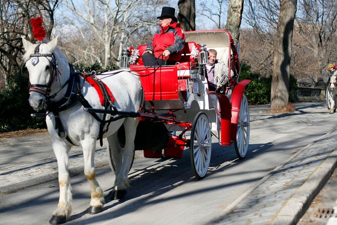 Central Park and NYC Horse Carriage Ride OFFICIAL ( ELITE Private) Since 1970 - Review Highlights and Carriage Driver Feedback