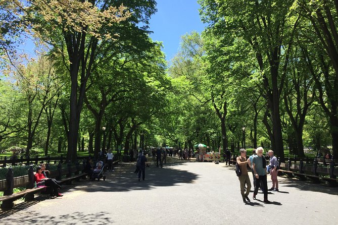 Central Park Walking Tour - Reviews