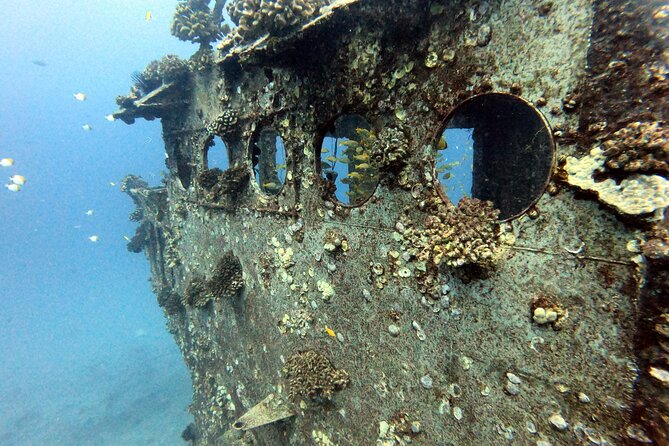 Certified Diver:2-Tank Deep Wreck and Shallow Reef Dives off Oahu - Equipment Provided and Certification Required