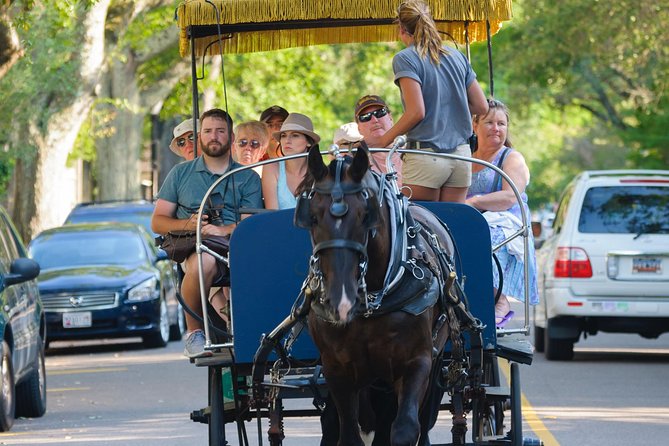 Charleston Horse & Carriage Historic Sightseeing Tour - Pricing and Cancellation Policy