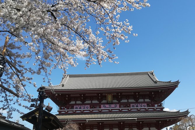Cherry Blossom Highlights, Asakusa, Ueno & Meiji Shrine - Asakusa District Exploration